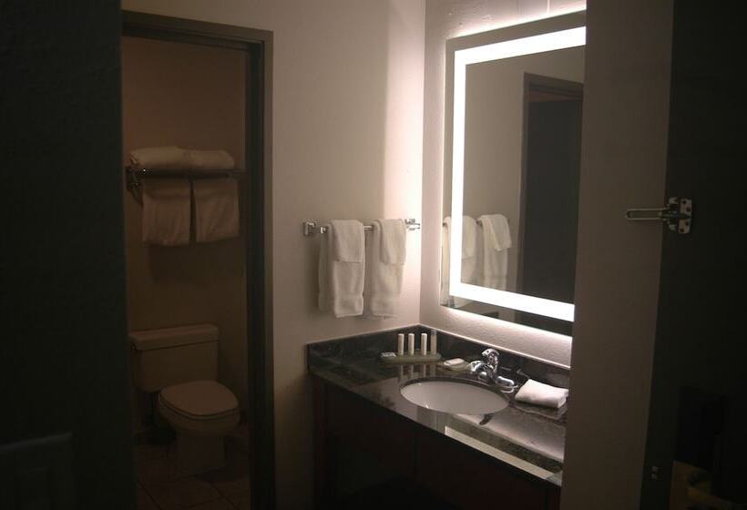 商务房间, Wingate By Wyndham Valdosta/moody Afb