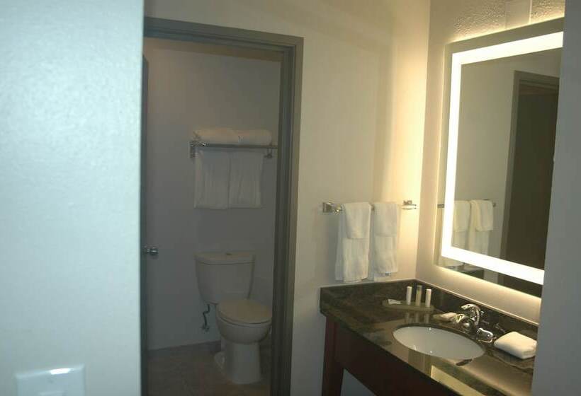 商务房间, Wingate By Wyndham Valdosta/moody Afb