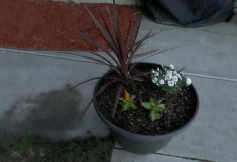 Апартаменты 1 Спальня, The Wing At Kingston East