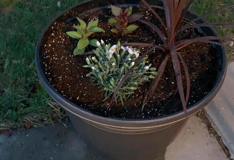 Апартаменты 1 Спальня, The Wing At Kingston East