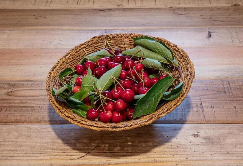 Номер Стандарт, Agr. Cascina Fabbrica