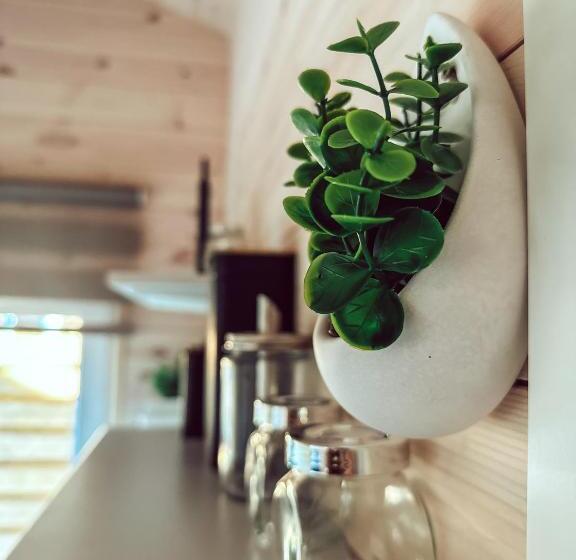 اتاق لوکس چهار تخته, Ramybės Kampelis