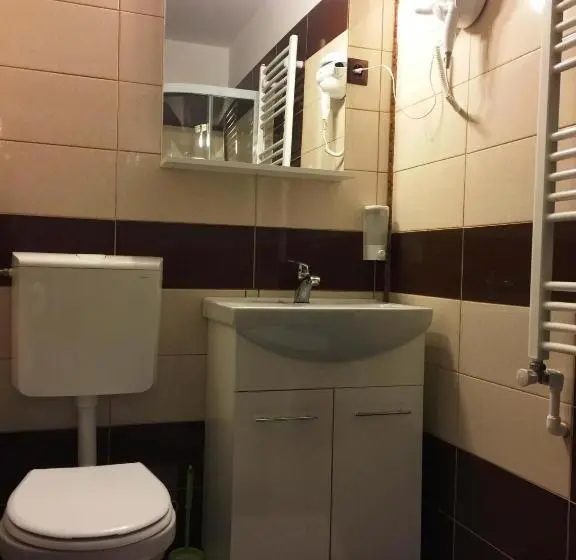 ファミリールーム, Transilvania Garden House