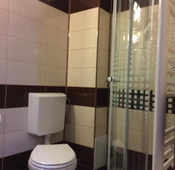 Семейный Номер, Transilvania Garden House