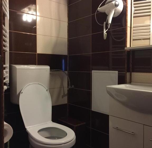 Апартаменты 2 Спальни, Transilvania Garden House