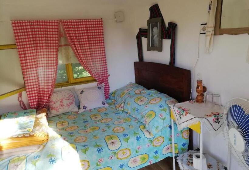 کلبه ییلاقی, Angelinin Konak