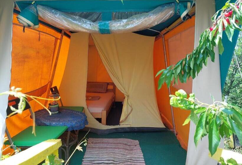 چادر با خدمات رفاهی استاندارد, Angelinin Konak