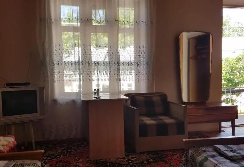 Cameră Standard, Optimist