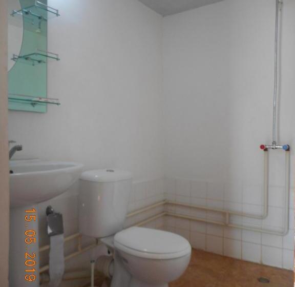 غرفة قياسية, Optimist