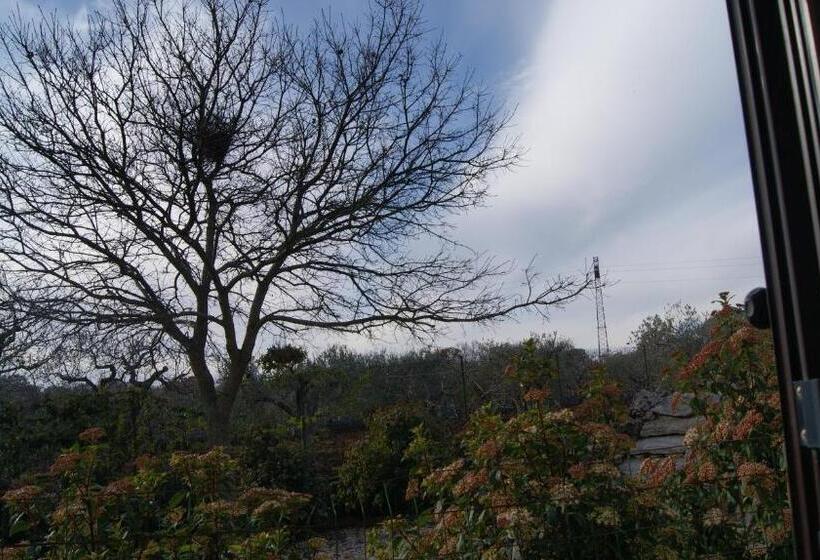 חדר סופריור, Arome B&b