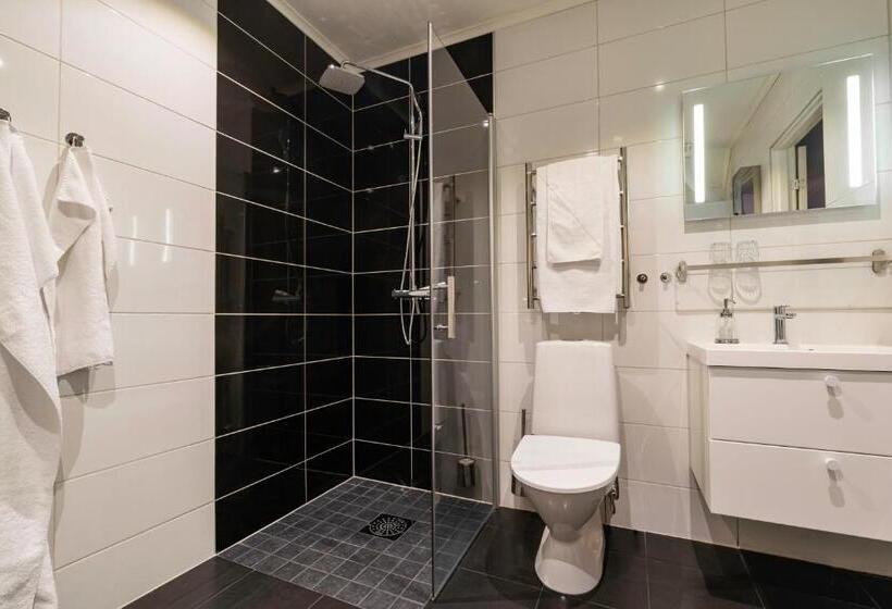 Апартаменты 1 Спальня с Балконом, Parkstigens Lägenheter