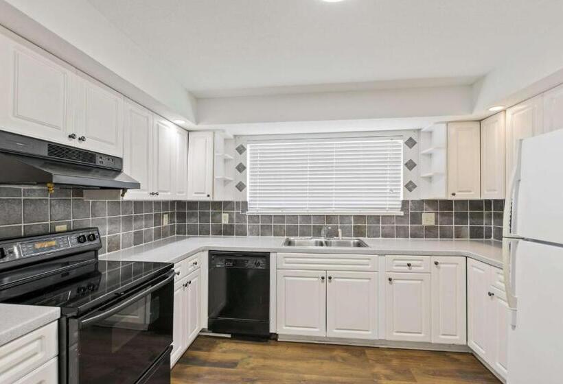 جناح سرير كينج, Best Western Plus Lake Lanier Gainesville Hotel & Suites