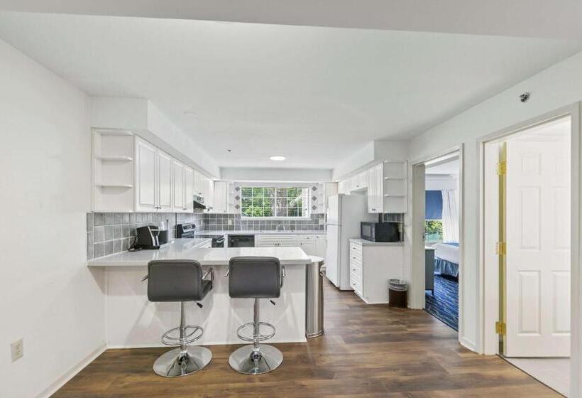 جناح سرير كينج, Best Western Plus Lake Lanier Gainesville Hotel & Suites