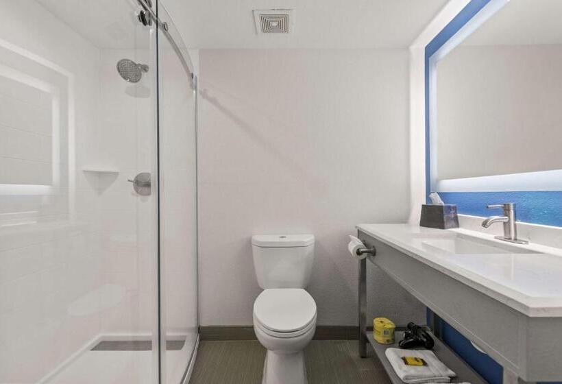 جناح سرير كينج, Best Western Plus Lake Lanier Gainesville Hotel & Suites