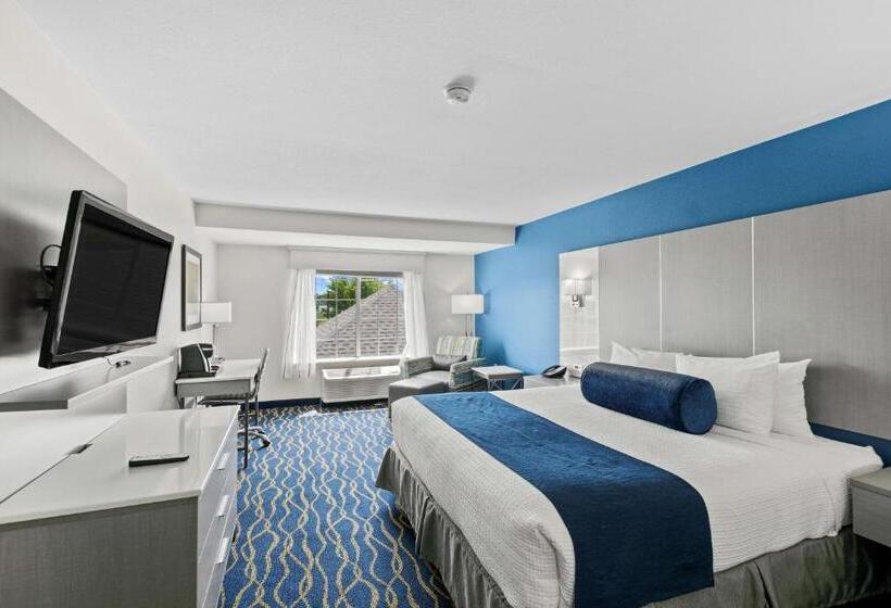 Стандартный Номер Кровать Кинг, Best Western Plus Lake Lanier Gainesville Hotel & Suites