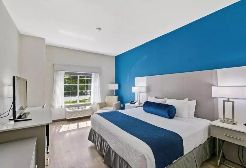 身障者適用スイートルーム, Best Western Plus Lake Lanier Gainesville Hotel & Suites