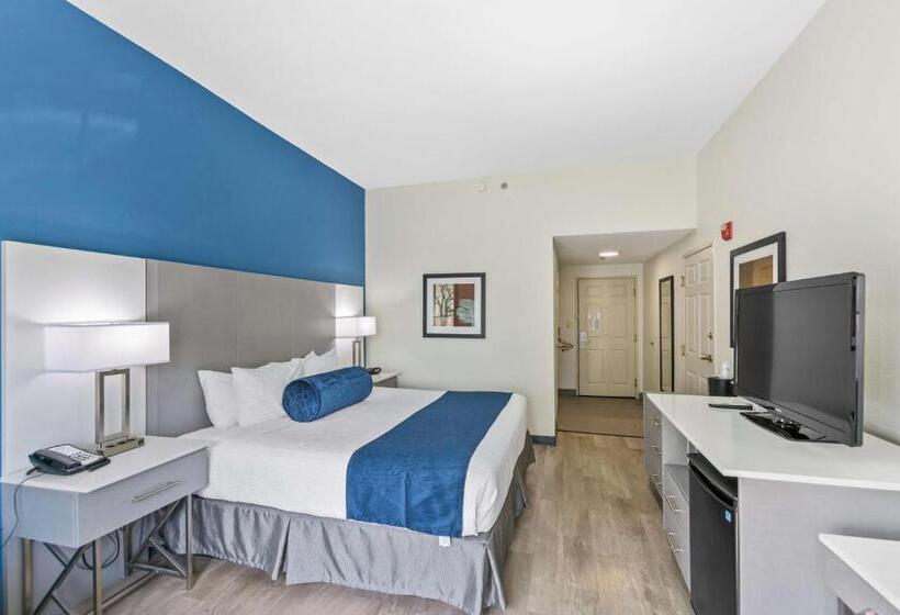 جناح لذوى الاحتياجات الخاصة, Best Western Plus Lake Lanier Gainesville Hotel & Suites