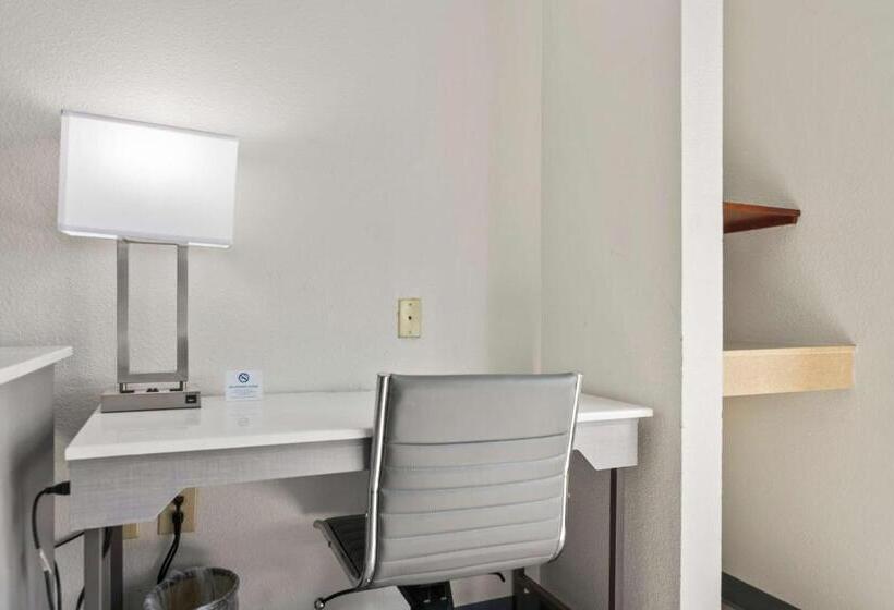 Номер Стандарт Кровать Кинг Адаптированный для Инвалидов, Best Western Plus Lake Lanier Gainesville Hotel & Suites