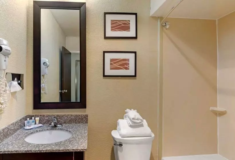 ２ダブルベッドのスタンダードルーム, Comfort Inn