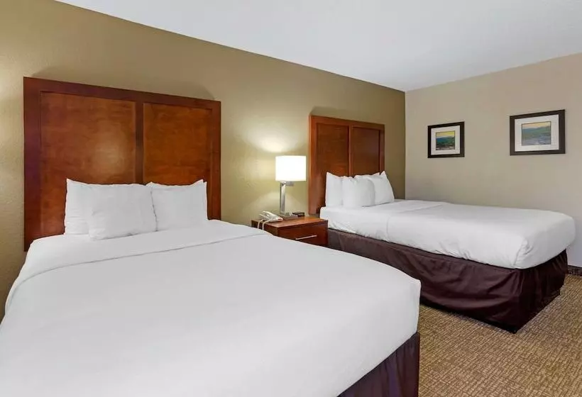 ２ダブルベッドのスタンダードルーム, Comfort Inn