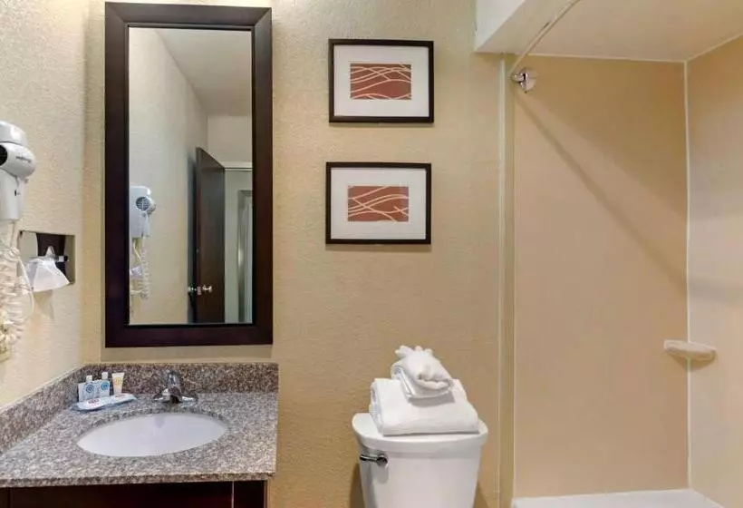 身障者適用キングサイズベッドルーム, Comfort Inn