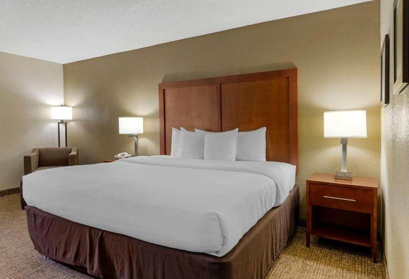 장애인을 위한 킹사이즈 침대 스탠다드 룸, Comfort Inn