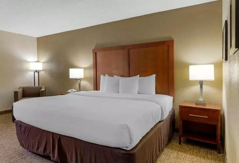 身障者適用キングサイズベッドルーム, Comfort Inn