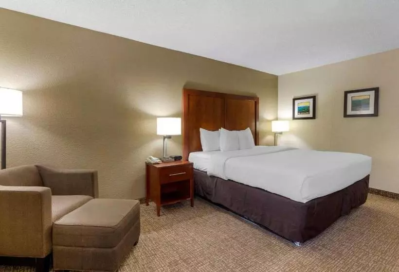 キングサイズベッドのスタンダードルーム, Comfort Inn
