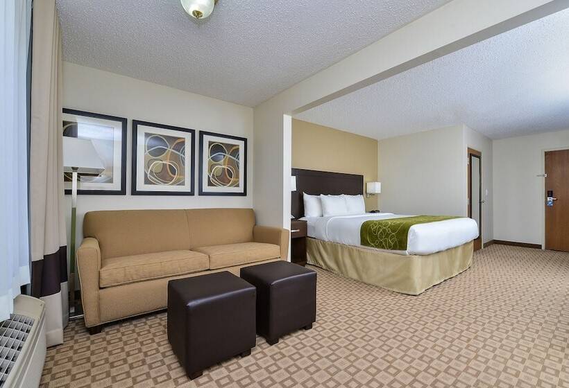 سوییت, Comfort Suites At Tucson Mall