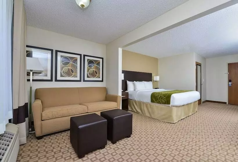 スイート, Comfort Suites At Tucson Mall