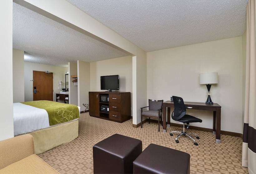 스위트, Comfort Suites At Tucson Mall