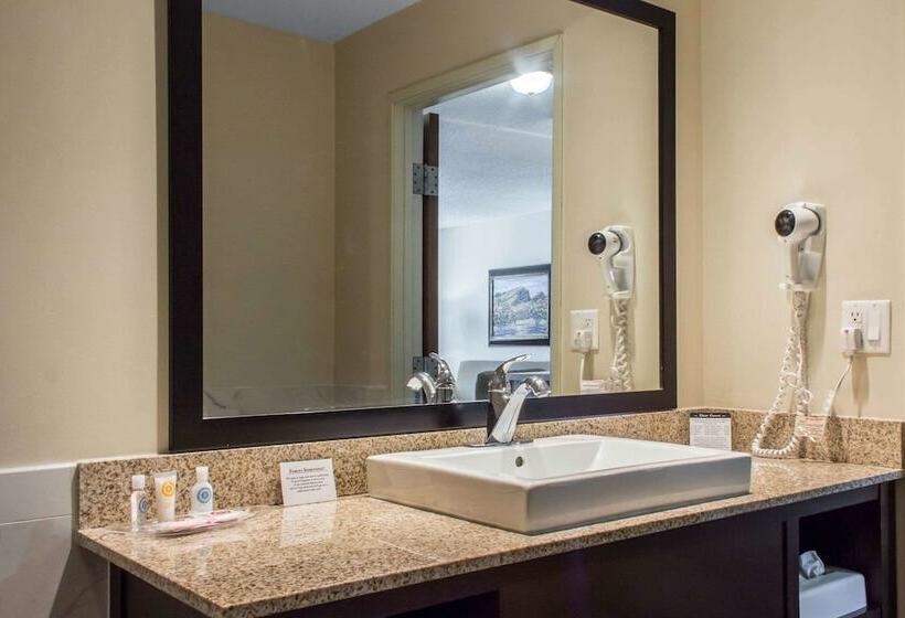 سوئیت برای معلولان, Comfort Suites At Tucson Mall