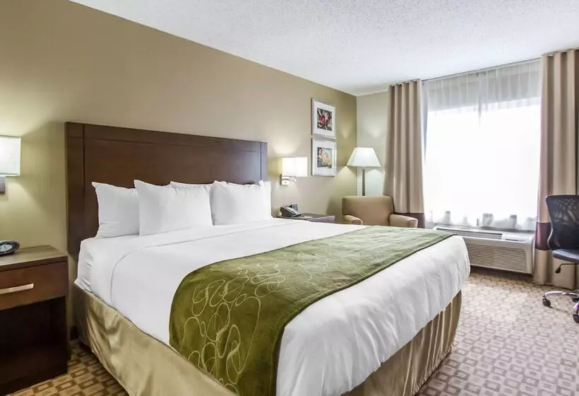 身障者適用スイートルーム, Comfort Suites At Tucson Mall