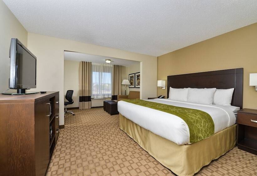 سوییت, Comfort Suites At Tucson Mall