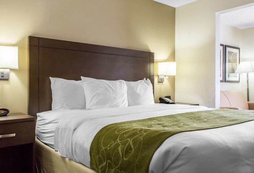 سوییت, Comfort Suites At Tucson Mall