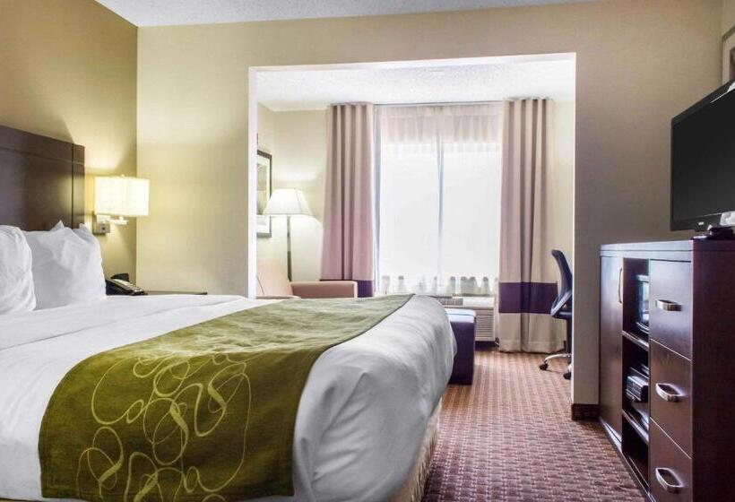 מיטת קינג בסוויטה, Comfort Suites At Tucson Mall
