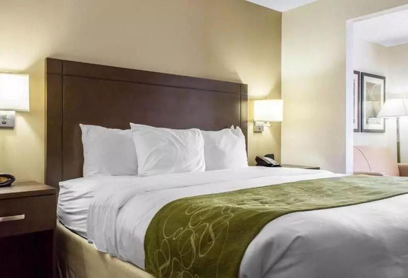 キングサイズベッドのスイートルーム, Comfort Suites At Tucson Mall