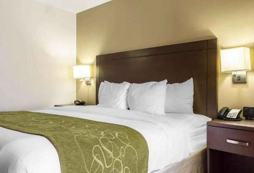 스위트 킹사이즈 침대, Comfort Suites At Tucson Mall