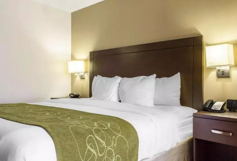 キングサイズベッドのスイートルーム, Comfort Suites At Tucson Mall