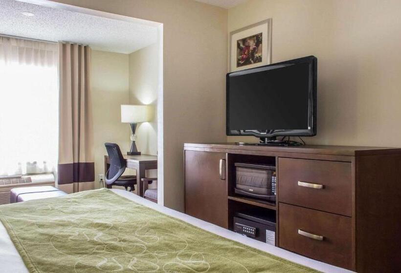 سوئیت با تخت بزرگ, Comfort Suites At Tucson Mall