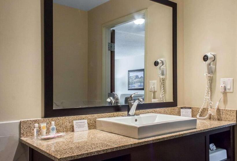 מיטת קינג בסוויטה, Comfort Suites At Tucson Mall