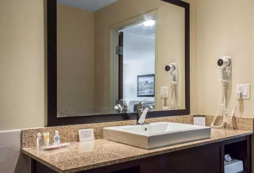 キングサイズベッドのスイートルーム, Comfort Suites At Tucson Mall