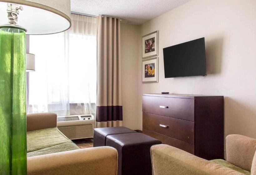 장애인을 위한 스위트, Comfort Suites At Tucson Mall