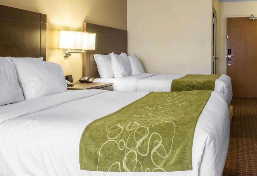 장애인을 위한 스위트, Comfort Suites At Tucson Mall