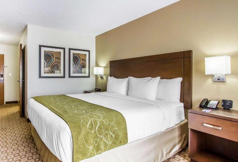 스위트 킹사이즈 침대, Comfort Suites At Tucson Mall
