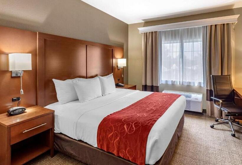 جناح سرير كينج, Comfort Suites Fort Collins Near University