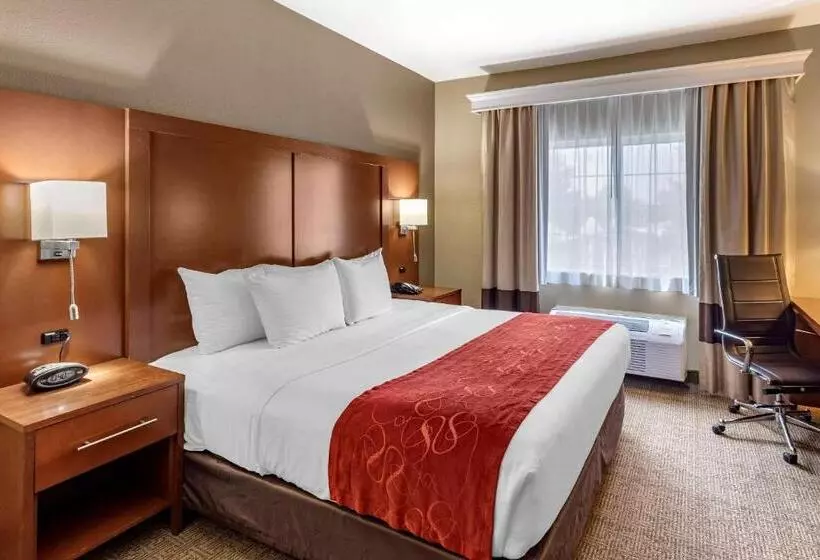 キングサイズベッドのスイートルーム, Comfort Suites Fort Collins Near University