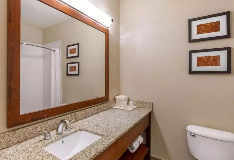 スイート, Comfort Suites Fort Collins Near University