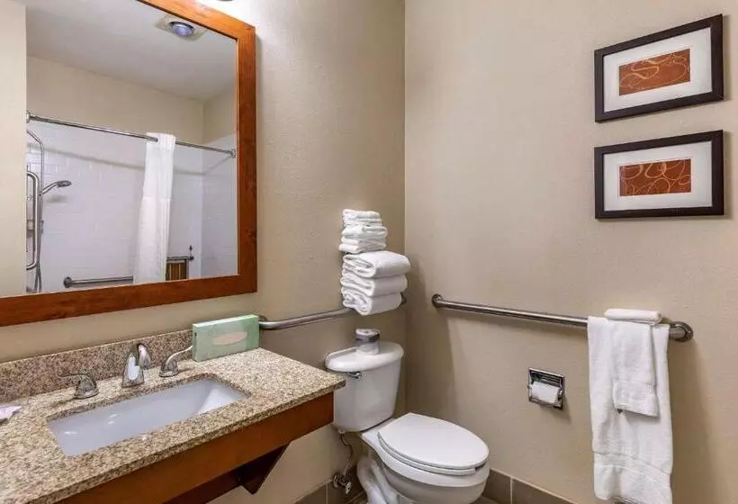 身障者適用スイートルーム, Comfort Suites Fort Collins Near University