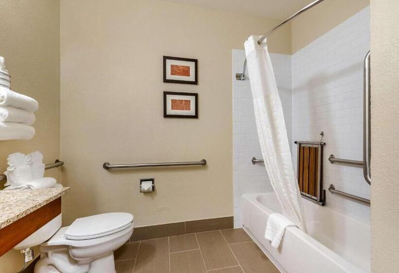 Люкс Адаптированный для Инвалидов, Comfort Suites Fort Collins Near University